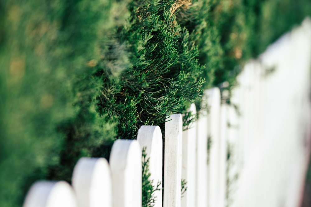 How Fencing Can Increase the Value and Security of Your Property