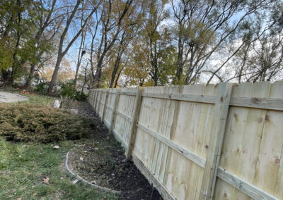 Light wooden privacy fence installed in a yard with shrubs and lawn