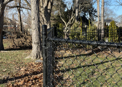 Black chain-link fence with rounded post cap in a residential yard