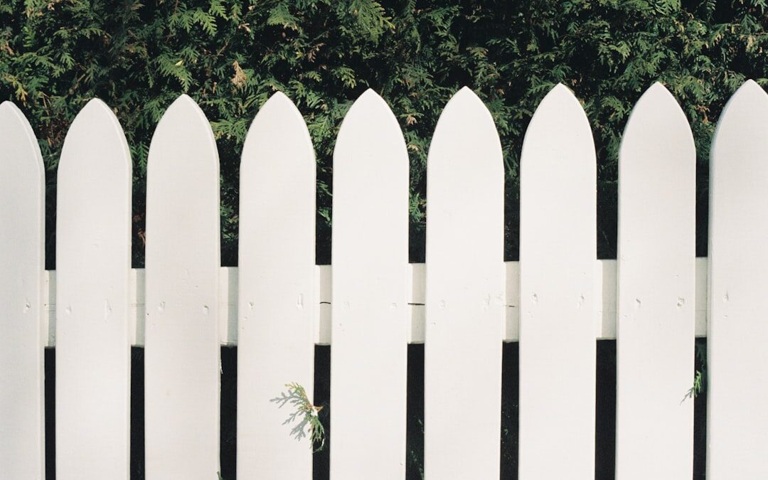 How to Choose the Right Detergent for Vinyl Fence Cleaning