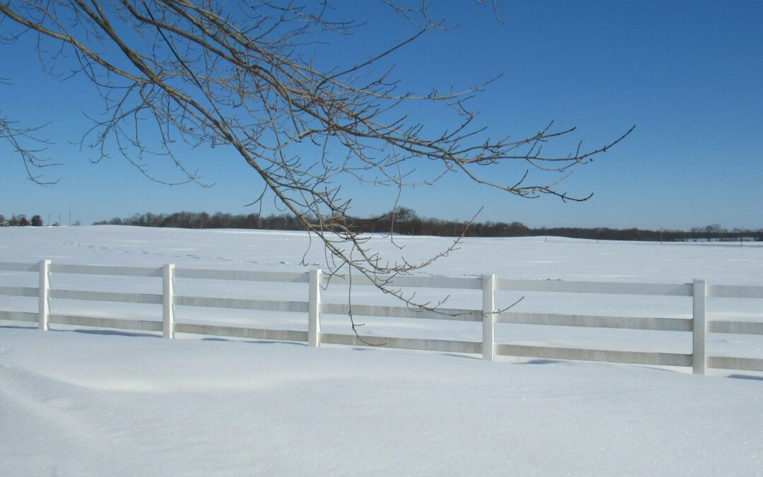 How to Prepare Your Vinyl Fence for Detroit’s Winter