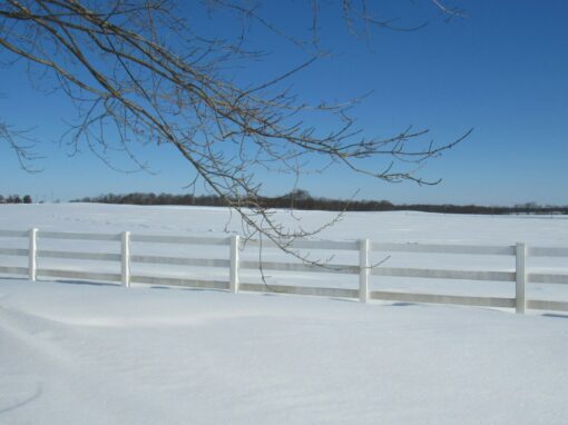 How to Prepare Your Vinyl Fence for Detroit’s Winter How to Prepare Your Vinyl Fence for Detroit’s Winter